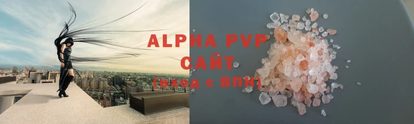 прущие грибы Абдулино