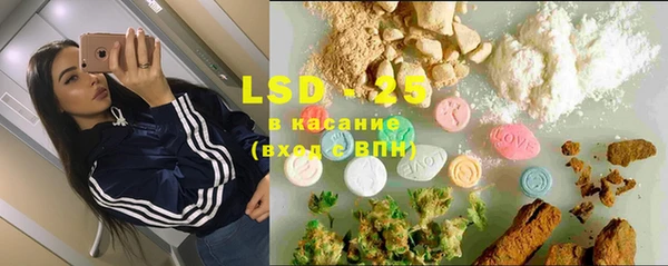 прущие грибы Абдулино